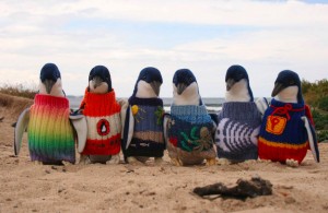 jm-allcreated-penguin-sweaters-1