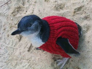 jm-allcreated-penguin-sweaters-2