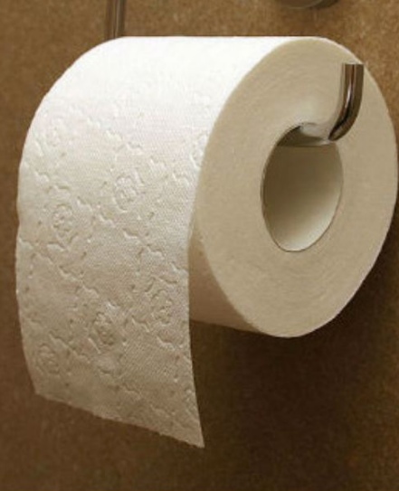 All Created - ToiletToilet Paper On A Public Seat