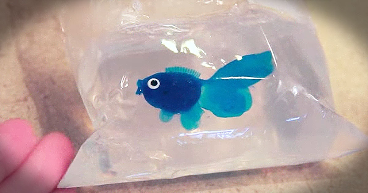 lo-all-created-homemade-fish-in-a-bag-soap.jp