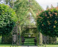 mans builds tree church from trees plants flowers only