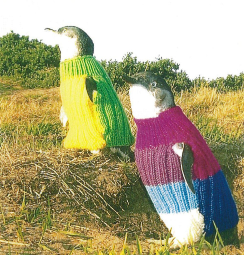 jm-allcreated-penguin-sweaters-3