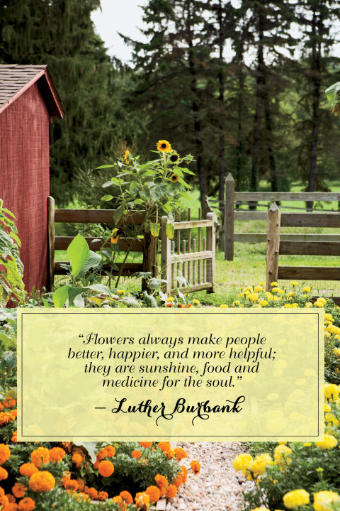 Country Quotes About Life - So Inspiring!