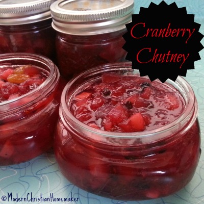 Cranberry-Chutney