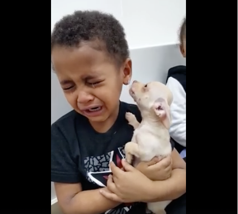 AllCreated - boy cries while holding puppy
