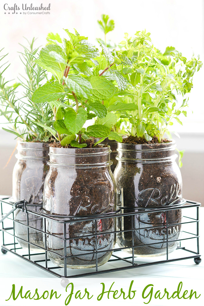 All Created - Mason Jar Indoor Herb Garden