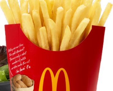 All Created copycat mcdonald's fries.png'
