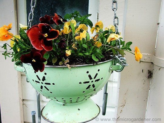 All Created - hanging flower basket ideas