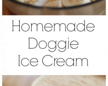 All Created - Homemade doggie icecream