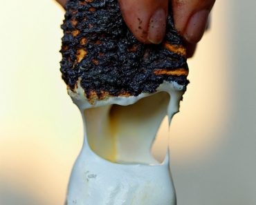All Created - roast a marshmallow