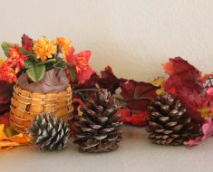 All Created - Cinnamon Scented Pinecones