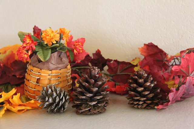 All Created - Cinnamon Scented Pinecones