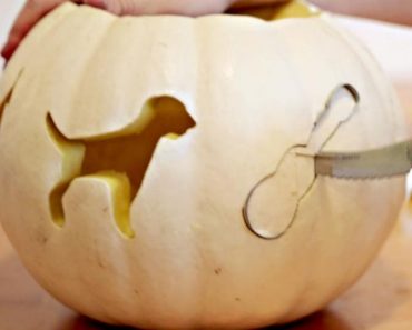 Cookie Cutter Pumpkin Carving Hack