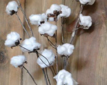 All Created - DIY Cotton Stems