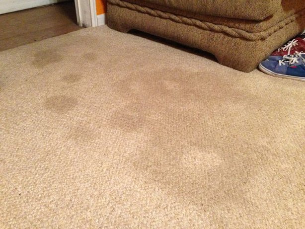 All Created - Remove Carpet Stains