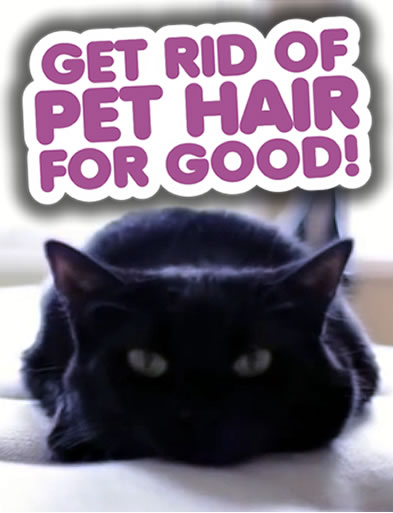 get-rid-pet-hair-pin