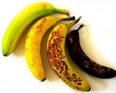 All Created - Overly Ripe Bananas