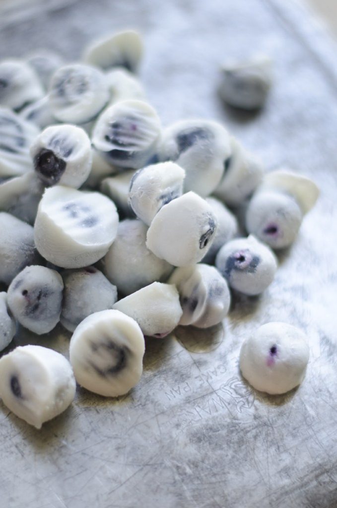 All Created - Frozen Blueberry Yogurt Bites
