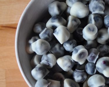 Frozen Blueberry Yogurt Bites Make for A Yummy Cool Snack _ allcreated