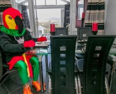 Man Dresses Up Like Parrot To Sell His House _ dining room _ food _ all created