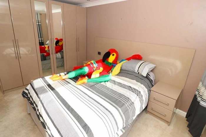 Man Dresses Up Like Parrot To Sell His House _ bedroom nap _ all created