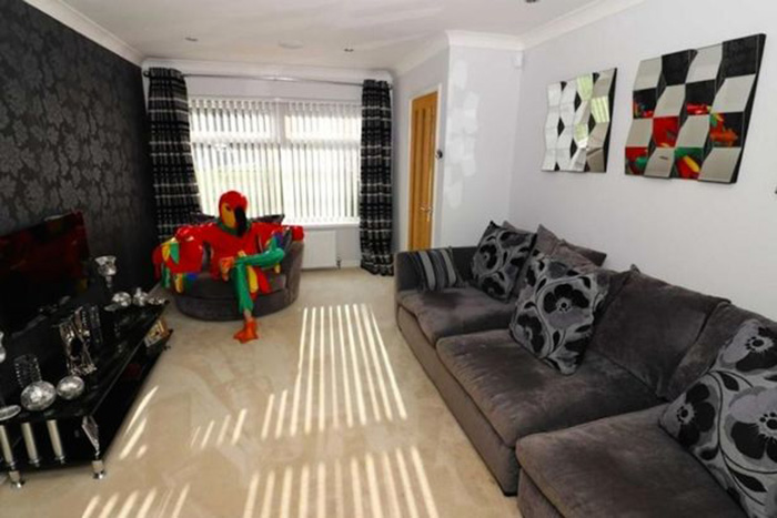 Man Dresses Up Like Parrot To Sell His House _ all created