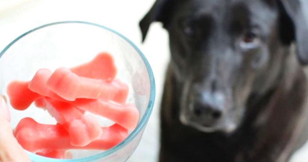 allcreated - watermelon pupsicles