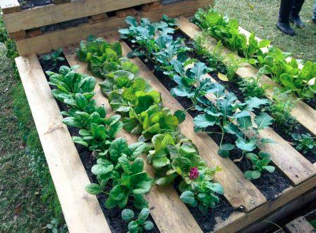 Diy Pallet Garden Instructions Will, Diy Raised Garden Beds Out Of Pallets