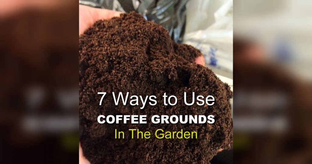 allcreated - coffee ground garden hacks