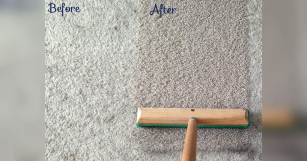 allcreated - carpet pet hair removal