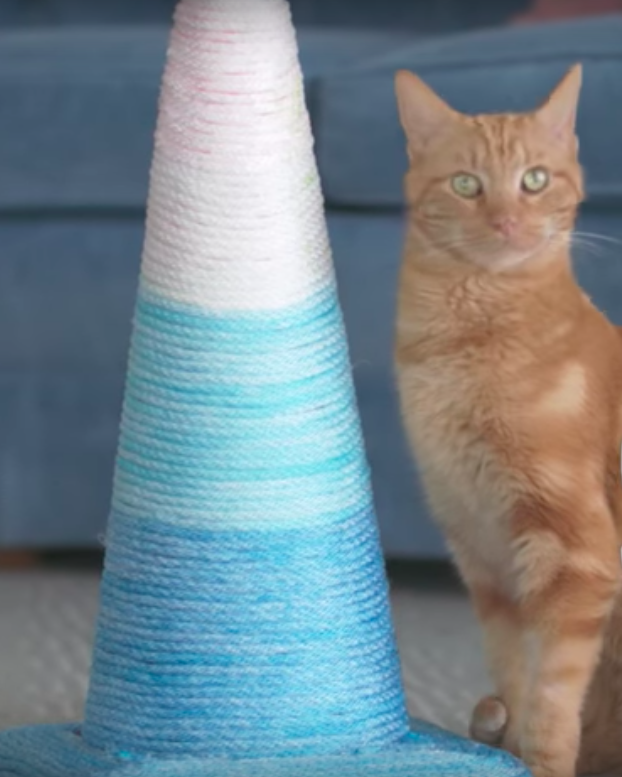 DIY Cat Scratching Pad Out Of Traffic Cone And Rope