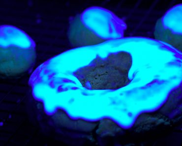 allcreated - glow in the dark donuts