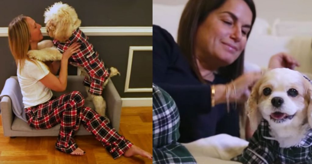 allcreated - dog pajamas