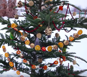 allcreated - recycled christmas tree bird feeder