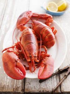 allcreated - poor man's lobster