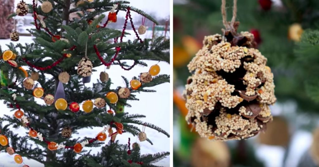 allcreated - recycled christmas tree bird feeder