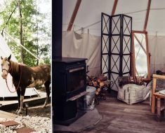 unusual airbnb homes next vacation _ airbnb _ Va Teepee _ allcreated